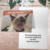 面白い写真　怒っているシャム猫　どうしてる？　車 カード