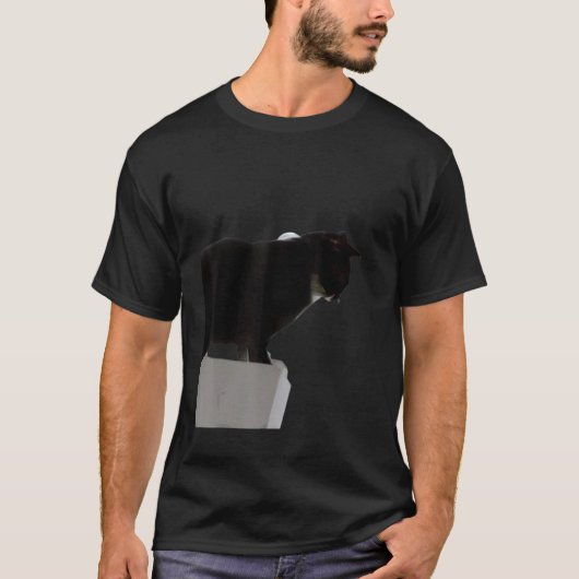 面白い子猫のブラックキャット・ミーム Tシャツ (正面)
