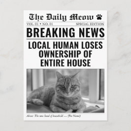 面白い新しい猫の新聞速報の写真 案内ポストカード