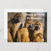 面白い歌うサル - バルバリー・マカク ポストカード (正面/裏面)