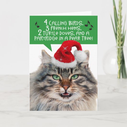 面白い歌う猫 - クリスマスの12日 シーズンカード (正面)