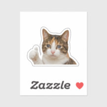 面白い泣き猫サムズアップミーム グラフィック