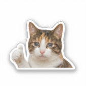 面白い泣き猫サムズアップミーム グラフィック シール (正面)