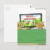 面白い牛 ポストカード (正面/裏面)