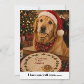 面白い犬のクリスマスカード シーズンカード (正面)