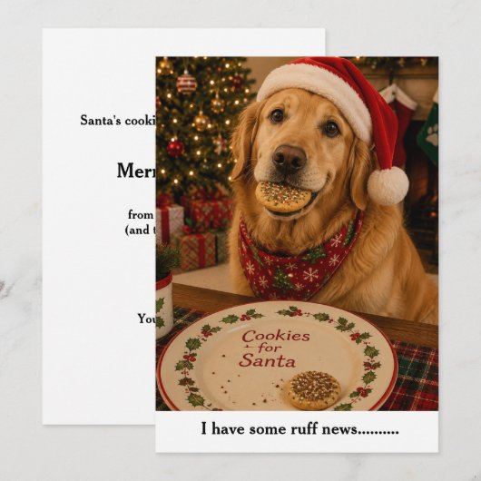 面白い犬のクリスマスカード シーズンカード (正面/裏面)