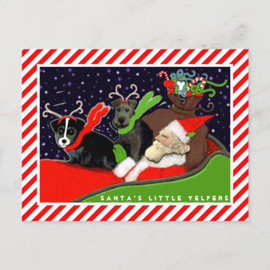 面白い犬のクリスマスカード シーズンポストカード (正面)