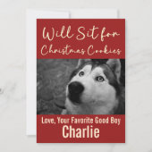 面白い犬のクリスマスクッキー 写真入りカスタムデザイン シーズンカード (正面)