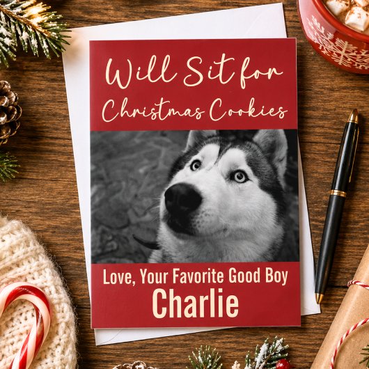 面白い犬のクリスマスクッキー 写真入りカスタムデザイン シーズンカード