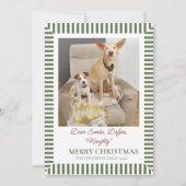 面白い犬のクリスマス写真 シーズンカード (正面)