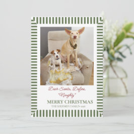 面白い犬のクリスマス写真 シーズンカード