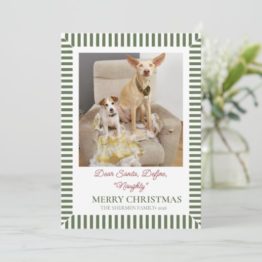 面白い犬のクリスマス写真 シーズンカード (スタンド正面)