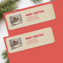  面白い犬のペット写真 クリスマスの差出人住所
