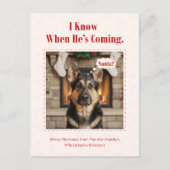 面白い犬のペット写真 クリスマス ホリデー ポストカード (正面)