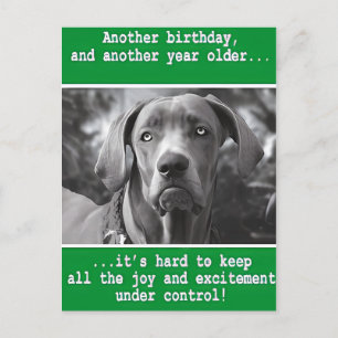 面白い犬の写真を使った、世界に一つだけの誕生日カード ポストカード