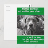 面白い犬の写真を使った、世界に一つだけの誕生日カード ポストカード (正面/裏面)