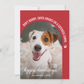 面白い犬の写真 クリスマス ホリデーカード (正面)
