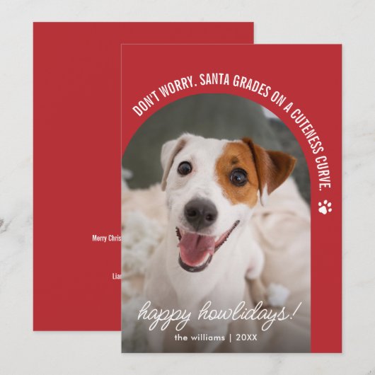 面白い犬の写真 クリスマス ホリデーカード (正面/裏面)