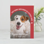 面白い犬の写真 クリスマス ホリデーカード (スタンド正面)