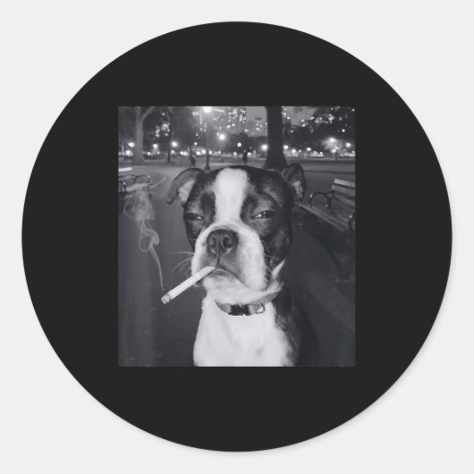 面白い犬の喫煙ミーム タバコ Gen Z ミーム 犬好き ラウンドシール (正面)