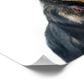 面白い犬の子犬 ポスター (角)