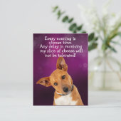 面白い犬の思考 ポストカード (スタンド正面)