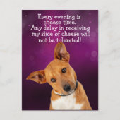 面白い犬の思考 ポストカード (正面)