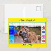 面白い犬の教育ゲーム ポストカード (正面/裏面)