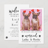 面白い犬の結婚式の招待状 セーブザデート (正面/裏面)