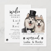 面白い犬の結婚式招待状 セーブザデート (正面/裏面)