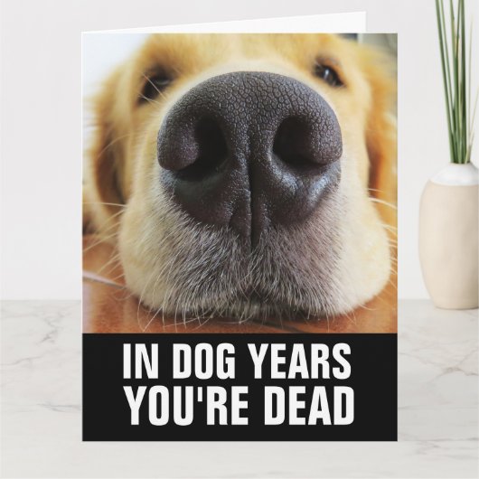 面白い犬の誕生日カード カード (正面)