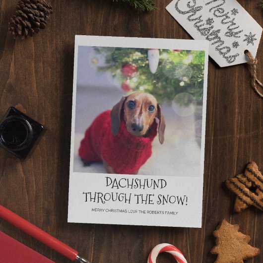 面白い犬ダックスフントの写真 クリスマス