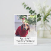 面白い犬ダックスフントの写真 クリスマス (スタンド正面)