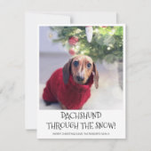 面白い犬ダックスフントの写真 クリスマス (正面)