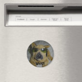 面白い犬 マグネット (インサイチュ (食洗機))