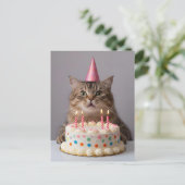 面白い猫と誕生日ケーキ ポストカード (スタンド正面)