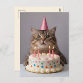 面白い猫と誕生日ケーキ ポストカード (正面/裏面)