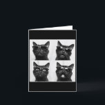 面白い猫のグラフィック写真ブースのセルフィー カード<br><div class="desc">面白い猫のグラフィック写真ブースのセルフィー</div>