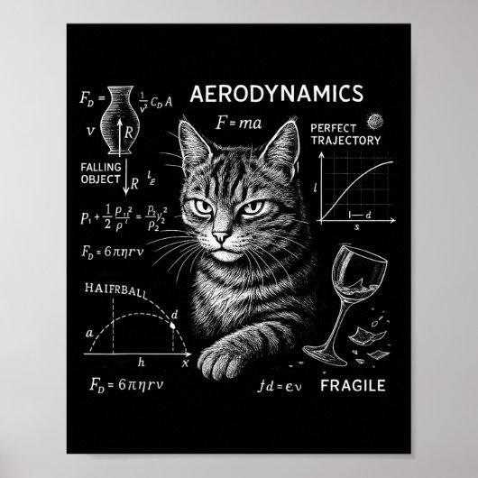 面白い猫の数学物理学の方程式サイエンス・ユーモア ポスター (正面)