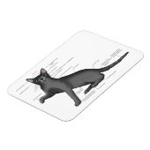 面白い猫の解剖図  冗談 ネルディー マグネット (左側)