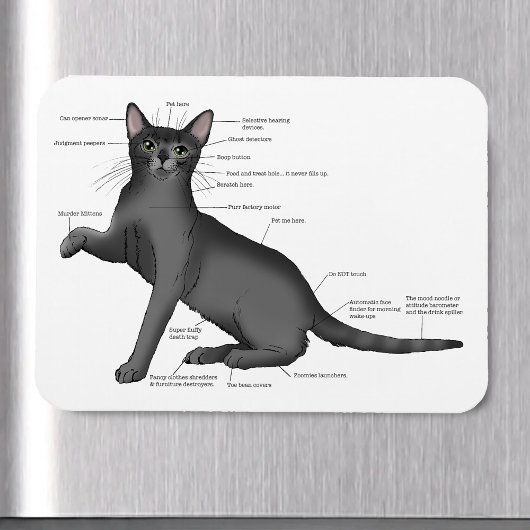 面白い猫の解剖図  冗談 ネルディー マグネット