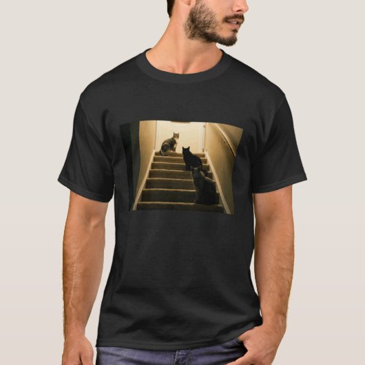 面白い猫の階段のシーン長袖 Tシャツ (正面)