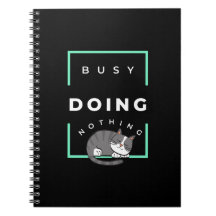 面白い猫は何もせず忙しい