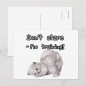 面白い猫ステッカー/ポストカード ポストカード (正面/裏面)