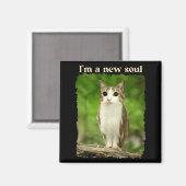 面白い猫フクロウミーム、脳回転Gen Alpha マグネット (正面/裏面)