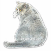 面白い猫分かる? シール (正面)