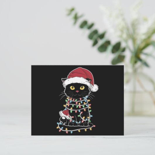 面白い猫好きのクリスマス・ライト シーズンポストカード (スタンド正面)