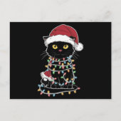 面白い猫好きのクリスマス・ライト シーズンポストカード (正面)