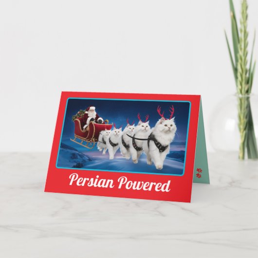 面白い白いペルシャ猫のクリスマス休日 カード (正面)