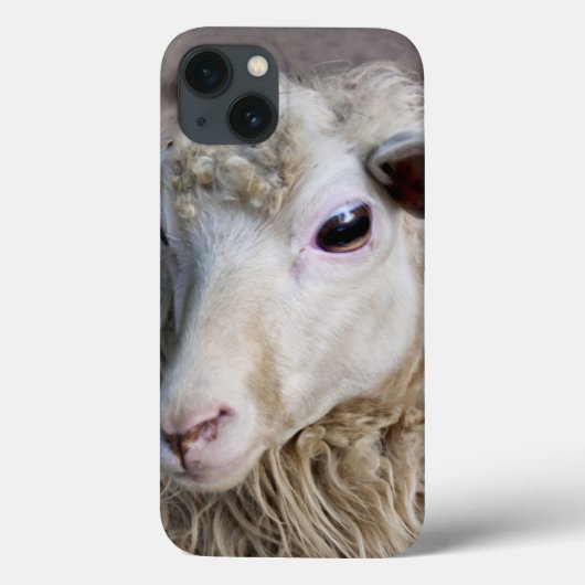 面白い羊 Case-Mate iPhoneケース (裏面)